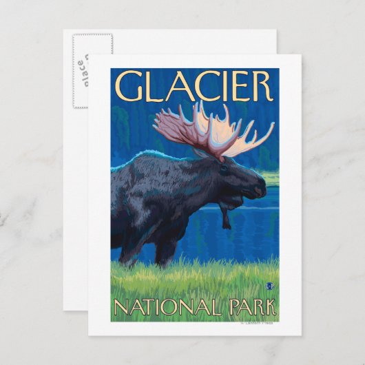 Moose at Night - Glacier National Park, MT Briefkaart (Voorkant / Achterkant)
