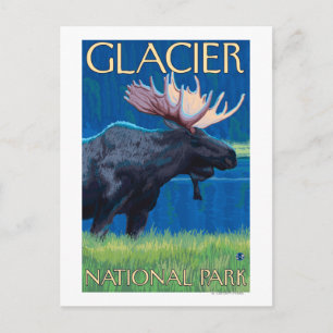 Moose at Night - Glacier National Park, MT Briefkaart