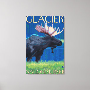 Moose at Night - Glacier National Park, MT Canvas Afdruk