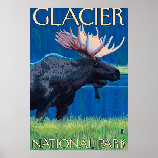 Moose at Night - Glacier National Park, MT Poster (Voorkant)