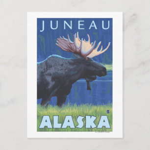 Moose at Night - Juneau, Alaska Briefkaart
