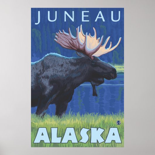 Moose at Night - Juneau, Alaska Poster (Voorkant)