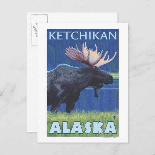 Moose at Night - Ketchikan, Alaska Briefkaart (Voorkant / Achterkant)