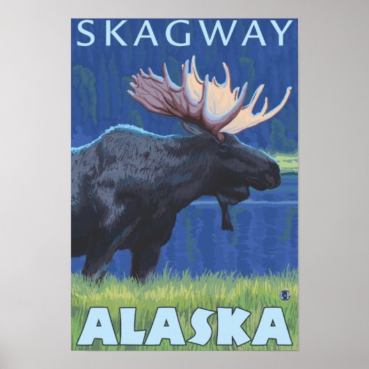 Moose at Night - Skagway, Alaska Poster (Voorkant)