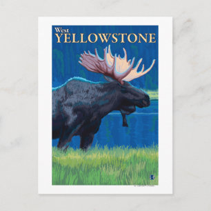 Moose at Night - West Yellowstone, Montana Briefkaart
