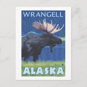Moose at Night - Wrangell, Alaska Briefkaart