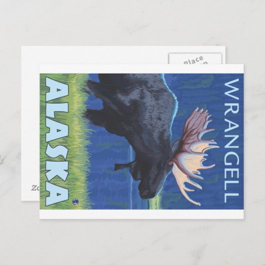 Moose at Night - Wrangell, Alaska Briefkaart (Voorkant / Achterkant)