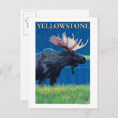 Moose at Night - Yellowstone National Park Briefkaart (Voorkant / Achterkant)