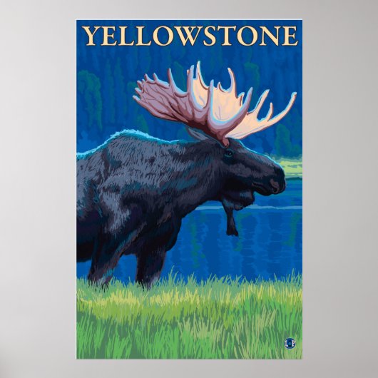 Moose at Night - Yellowstone National Park Poster (Voorkant)
