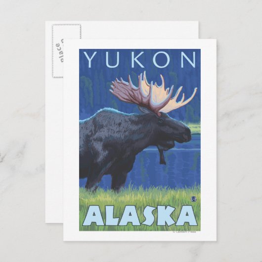 Moose at Night - Yukon, Alaska Briefkaart (Voorkant / Achterkant)