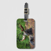 Moose Bagagelabel (Voorkant (verticaal))