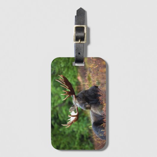 Moose Bagagelabel (Voorkant (verticaal))