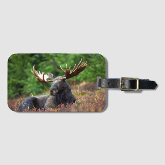 Moose Bagagelabel (Voorkant (horizontaal))