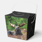 Moose Bedankdoosjes (Voorkant)