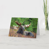Moose Bedankkaart (Voorkant)