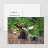 Moose Bedankt Briefkaart (Voorkant / Achterkant)