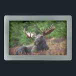 Moose Belt Buckle Gesp<br><div class="desc">Prachtige foto van een majestueuze eland achterover leunend in een veld van wilde bloemen. Foto van Shivam Kumar.</div>