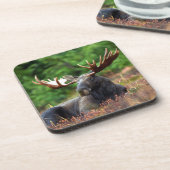 Moose Beverage Coaster Bier Onderzetter (Linkerzijde)