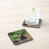 Moose Beverage Coaster Bier Onderzetter (Rechterzijde)