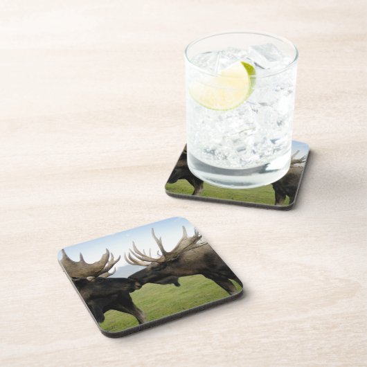 Moose Bier Onderzetter (Rechterzijde)