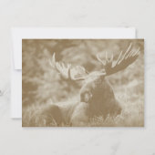 Moose Big Game Wildlife Antlers Weddenschap Kaart (Achterkant)
