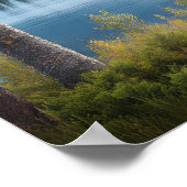 Moose bij Lake 1 Poster (Hoek)