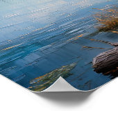 Moose bij Lake 3 Poster (Hoek)