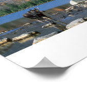 Moose bij Sandy Stream Pond Poster (Hoek)