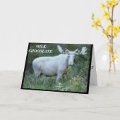 Moose Birthday Kaart (Gele Bloem)