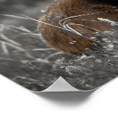 Moose Black White Photo Monochromatische Rustic Poster (Hoek)