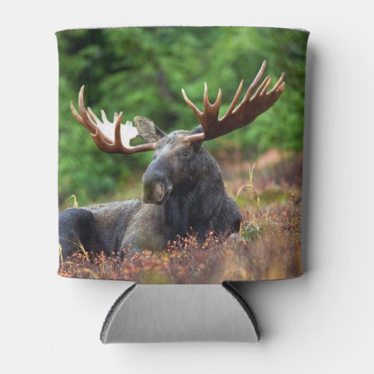 Moose Blikjeskoeler (Voorkant)