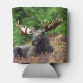 Moose Blikjeskoeler (Achterkant)