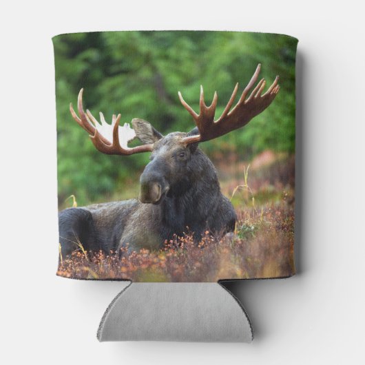 Moose Blikjeskoeler (Achterkant)