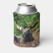 Moose Blikjeskoeler (Blikje Achterkant)