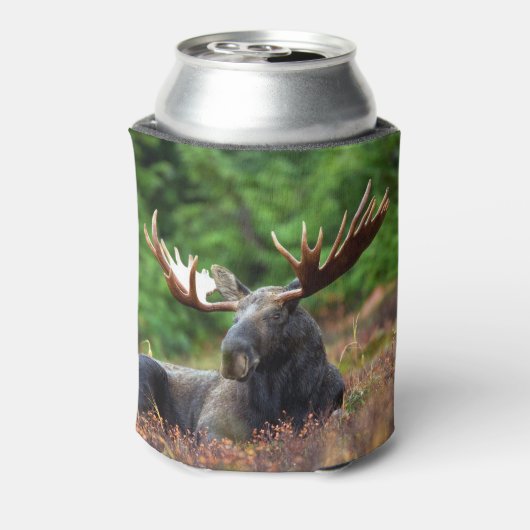 Moose Blikjeskoeler (Blikje Achterkant)