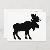 Moose Briefkaart (Voorkant / Achterkant)