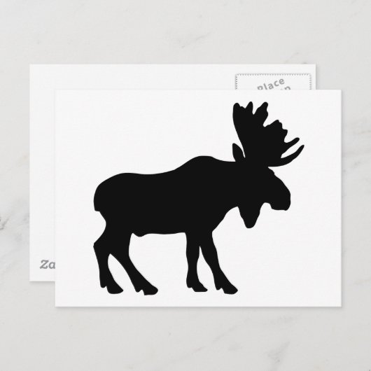 Moose Briefkaart (Voorkant / Achterkant)
