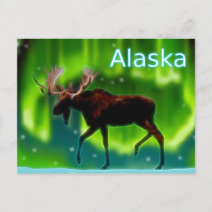 Moose Briefkaart