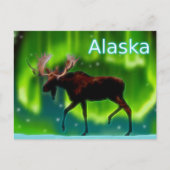 Moose Briefkaart (Voorkant)