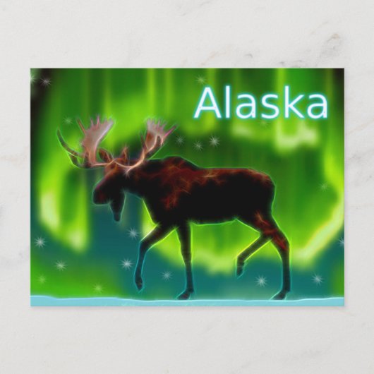 Moose Briefkaart (Voorkant)