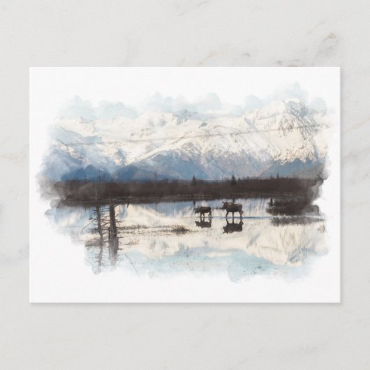 Moose Briefkaart (Voorkant)