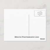 Moose Briefkaart (Achterkant)