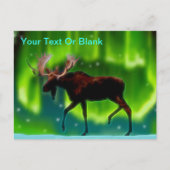 Moose Briefkaart (Voorkant)