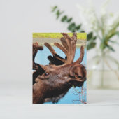 Moose Briefkaart (Staand voorkant)