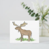 Moose Briefkaart (Staand voorkant)