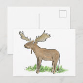 Moose Briefkaart (Voorkant / Achterkant)