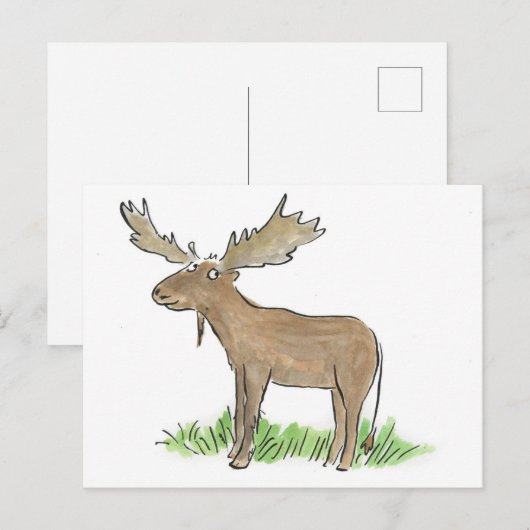 Moose Briefkaart (Voorkant / Achterkant)