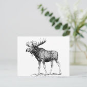 Moose Briefkaart (Staand voorkant)