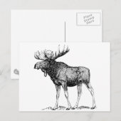 Moose Briefkaart (Voorkant / Achterkant)
