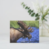 Moose Briefkaart (Staand voorkant)